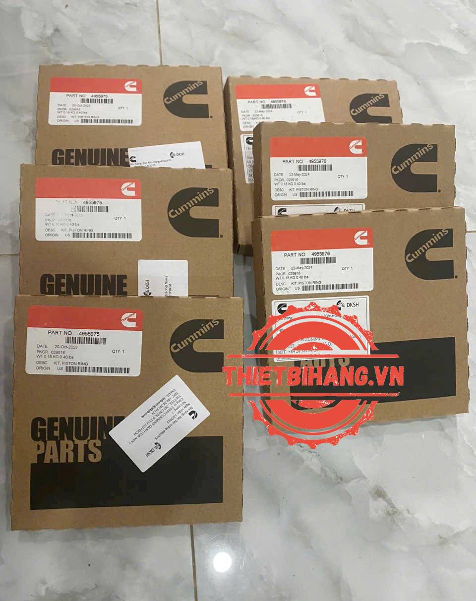 Bạc xéc măng Cummins 4955976  KIT,PISTON RING