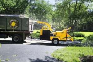 Máy băm cành cây cho Khu Công Nghiệp