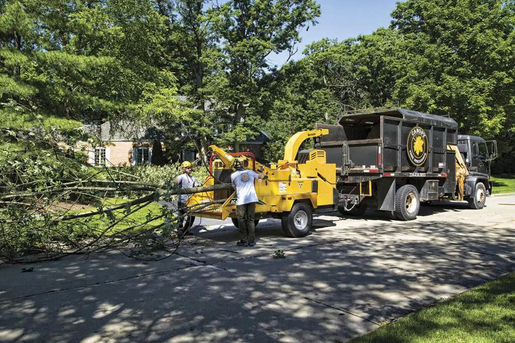 Máy băm cành cây cho Khu Công Nghiệp