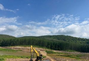 Máy băm dăm gỗ keo đa năng Vermeer HG400