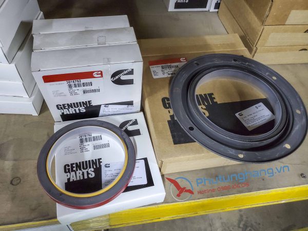 Phốt đầu Cummins KTA19 3016792