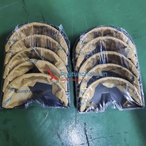 Miễng cốt Cummins KTA 19 AR12270