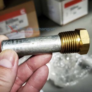 Zinc Electrode Plug 6824 Cummins