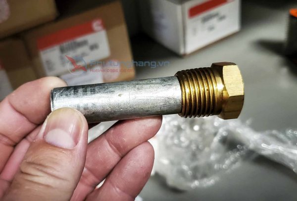 Zinc Electrode Plug 6824 Cummins
