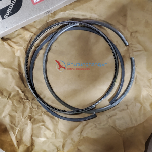 Bạc xéc măng Cummins ISX/QSX15 - 5405717 Set piston ring