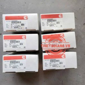 Bạc lót thanh truyền Cummins 4089405 - Set Rod Bearing (STD)